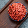 vente chaude goji baies plantes goji Berry